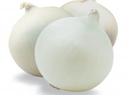 CEBOLLA BLANCA